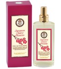 Japanese Cherry Blossom Eyüp Sabri Tuncer