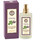 parfém Wild Fig