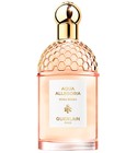 parfém Aqua Allegoria Rosa Rossa