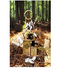 White Feather Solstice Scents