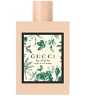 Gucci Bloom Acqua di Fiori Gucci