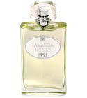 parfém Lavanda Nobile