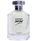 Esprit Infini Hayari Parfums