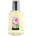 Rose de Mai Fragonard