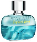 Festival Vibes for Him Hollister