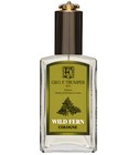 parfém Wild Fern Cologne