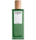 Agua Miami Loewe