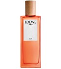 Solo Loewe Ella Loewe