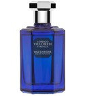 Wild Lavender Lorenzo Villoresi