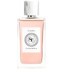 parfém Figuier & Rose