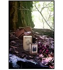 Black Forest Solstice Scents
