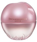 Incandessence Lotus Avon