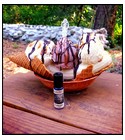 Blackburn's Parlor Solstice Scents