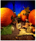 parfém Gunnerson's Pumpkin Patch