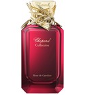 Rose de Caroline Chopard