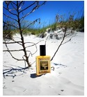 parfém Gulf Breeze