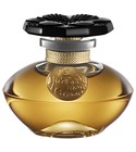 Narcisse Noir Caron