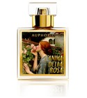 L'Anima Della Rosa Auphorie