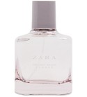 Twilight Mauve Summer Zara