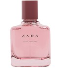 Scarlet Peony Zara