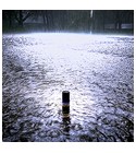 During the Rain Solstice Scents