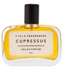 Cupressus Fiele Fragrances