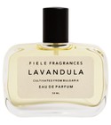 Lavandula Fiele Fragrances
