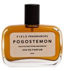 Pogostemon Fiele Fragrances