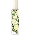 parfém Cade & Cedarwood
