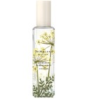 parfém Hemlock & Bergamot