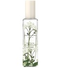 parfém Nettle & Wild Achillea