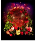 parfém Orient Rose