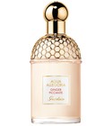 parfém Aqua Allegoria Ginger Piccante