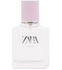 Orchid 2019 Zara