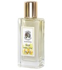 Exclusive №26 - MAKE A WISH Valerie Nesterova Exclusive Perfumes