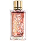 Magnolia Rosae Lancôme
