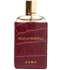 Fields at Nightfall 2018 Zara