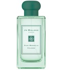 Star Magnolia Cologne (2019) Jo Malone London