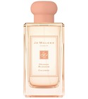 parfém Orange Blossom Cologne (2019)