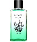 parfém Lavanda Folha