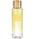 Mimosa Austral Premiere Note