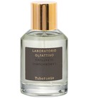 Vetyverso Laboratorio Olfattivo perfume - a fragrance for