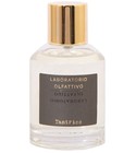 Vetyverso Laboratorio Olfattivo perfume - a fragrance for