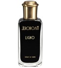 Ligno Jeroboam