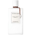 parfém Santal Blanc