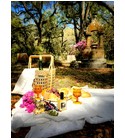 parfém Victorian Picnic