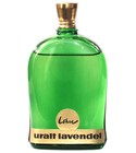 Uralt Lavendel Lohse