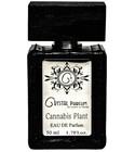 parfém Cannabis Plant