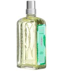 Verveine Sorbet L'Occitane en Provence