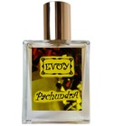 Pachundra EVOY